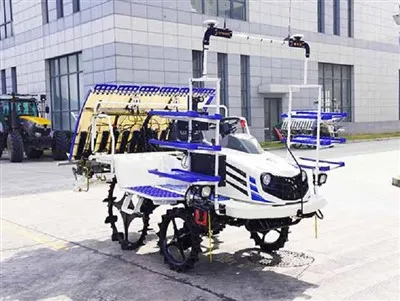 Сільськогосподарський рисовий трансплантат